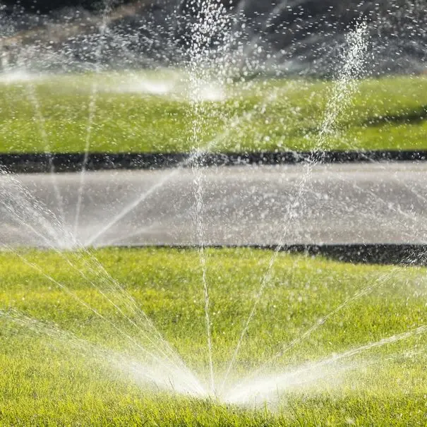 despite the worst drought in living memory people royalty free image 1682973805